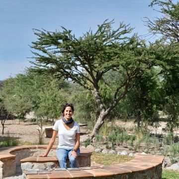 PNM paisajismo - San Miguel de Allende - Multiservicios de cuidados del césped