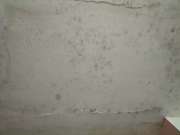 Mold Inspection and Removal - Cleaning