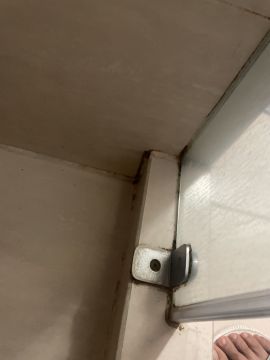 Inspección y eliminación de moho
