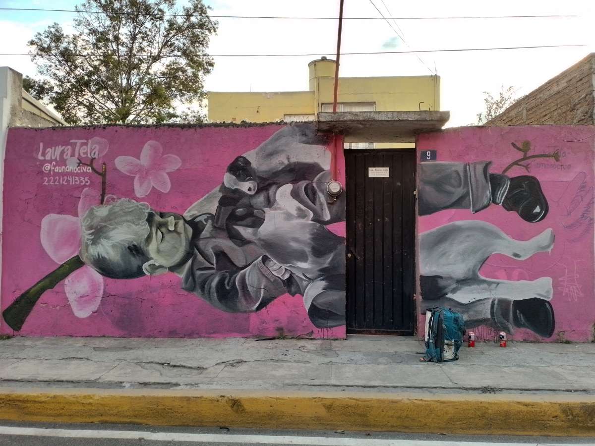 Laura Tela - Puebla - Pintura de exteriores