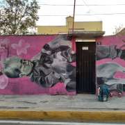 Laura Tela - Puebla - Pintura de exteriores