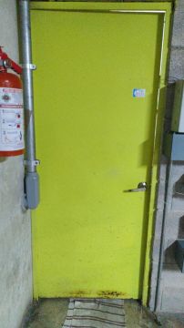 Door Painter