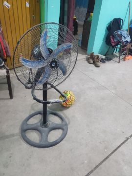 Fan Repairman