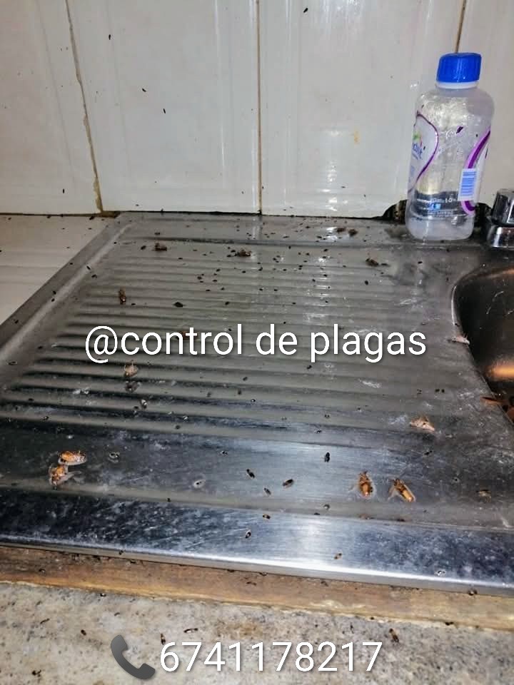 Control de plagas 