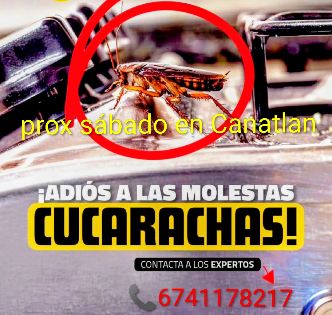 Control de plagas 