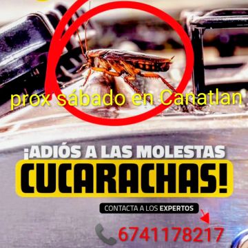 Control de plagas 