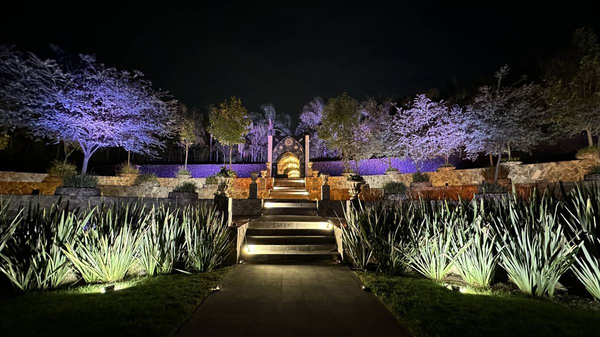 TOP Producciones - Zapopan - DJ para eventos