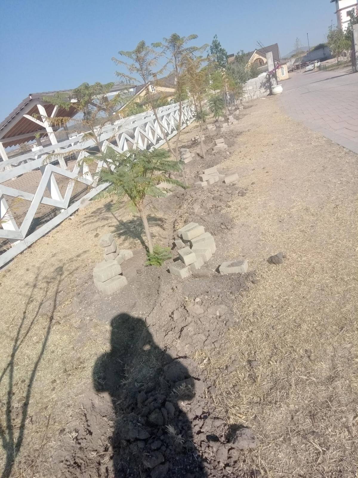 Mantenimientos peña - El Marqués - Riego y cuidado de plantas