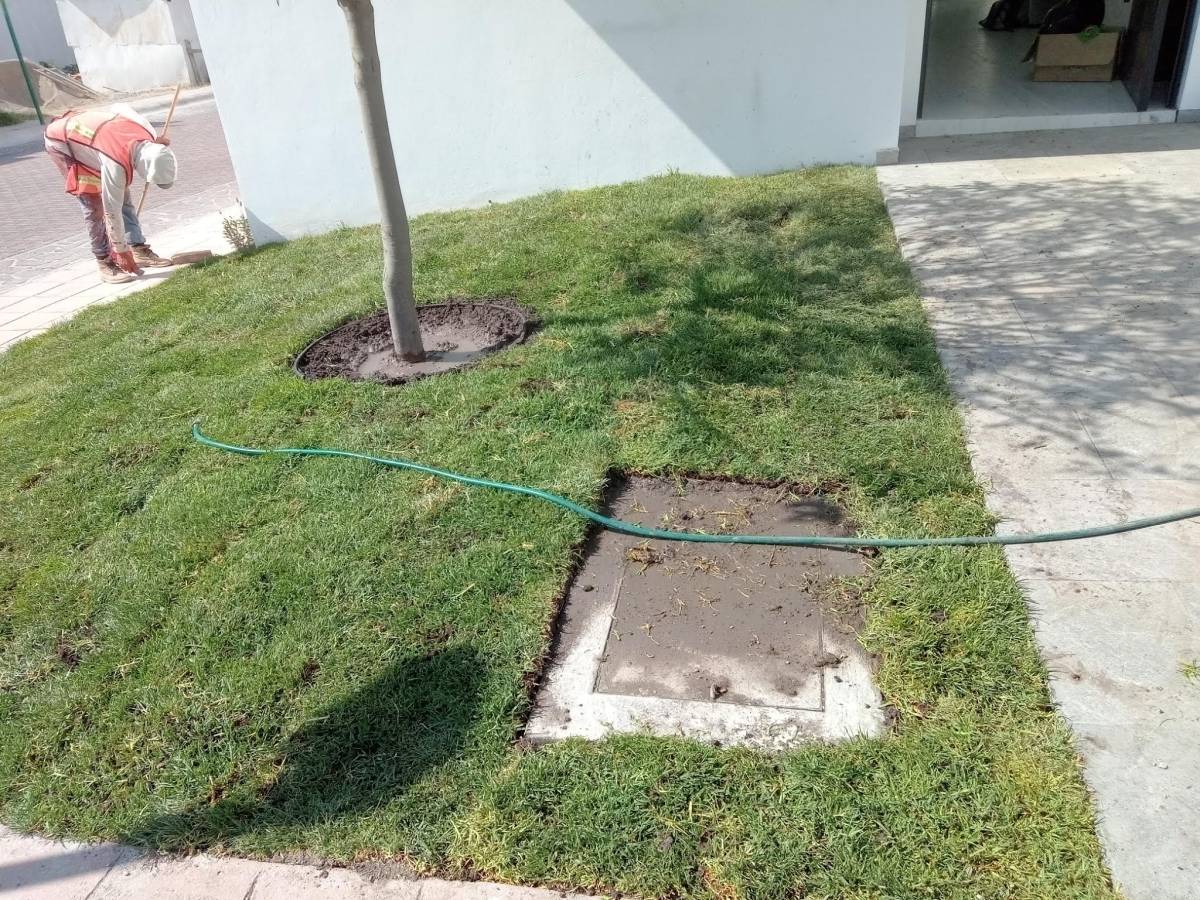 Mantenimientos peña - El Marqués - Instalación o reemplazo de tejados