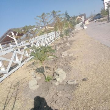 Mantenimientos peña - El Marqués - Riego y cuidado de plantas
