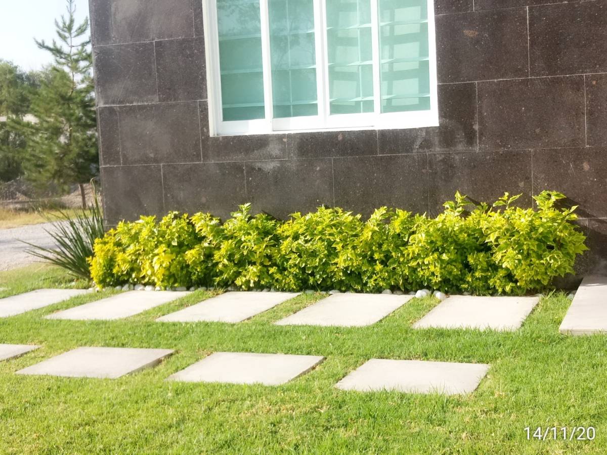 Jardinería El Corderito - Ezequiel Montes - Shrub Removal