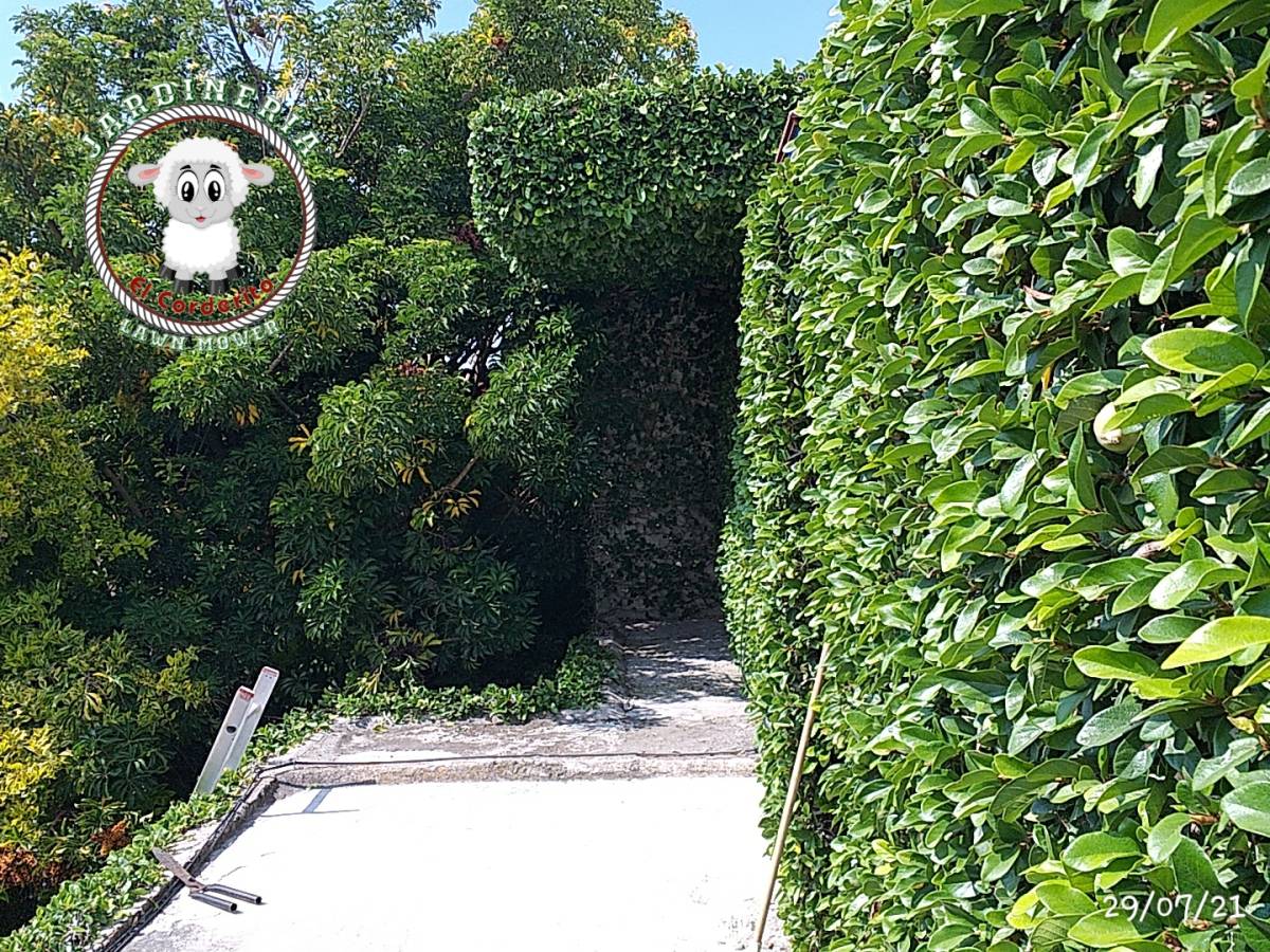 Jardinería El Corderito - Ezequiel Montes - Seeding