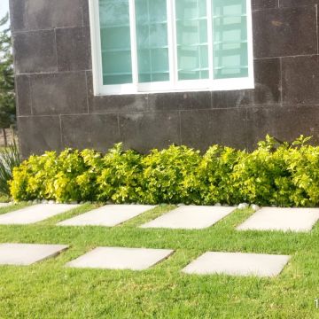 Jardinería El Corderito - Ezequiel Montes - Shrub Removal