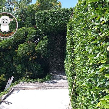 Jardinería El Corderito - Ezequiel Montes - Seeding