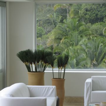 Estilo Hauzz - Veracruz - Exterior Painting