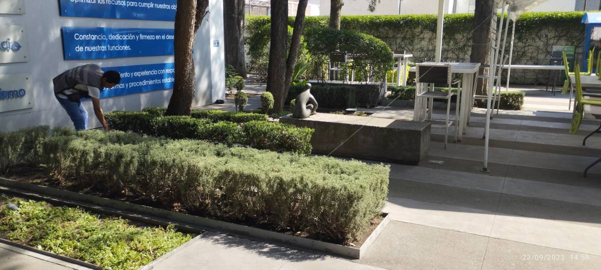 Servicios Integrales ADP - Gustavo A. Madero - Waste Removal