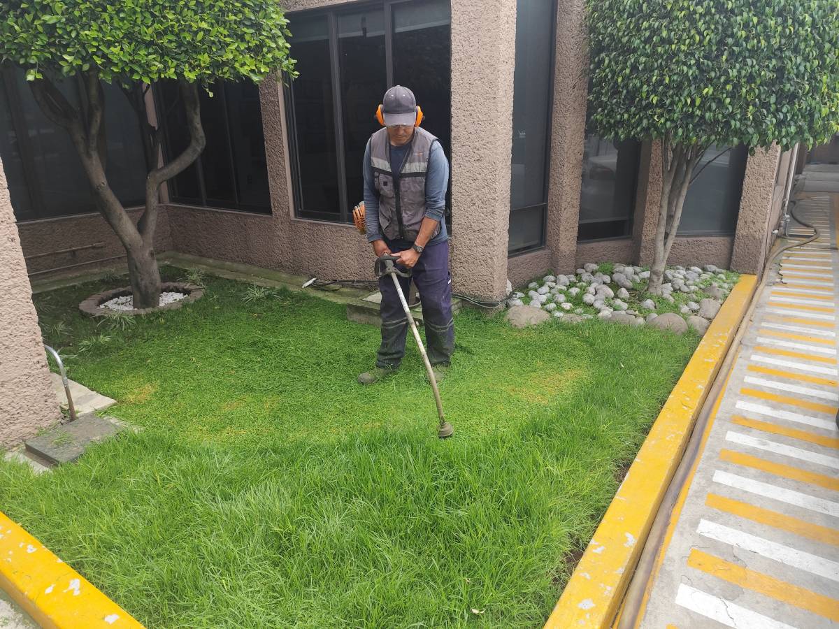 Servicios Integrales ADP - Gustavo A. Madero - Outdoor Landscaping