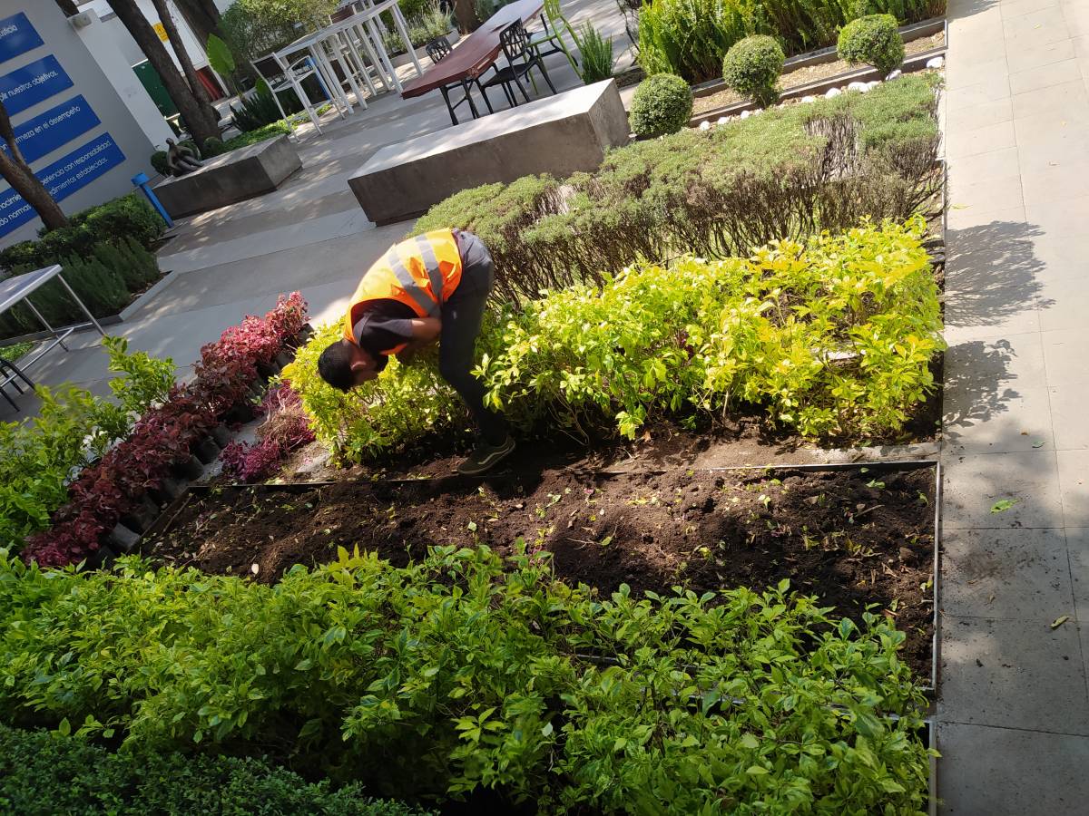 Servicios Integrales ADP - Gustavo A. Madero - Greenhouse Services