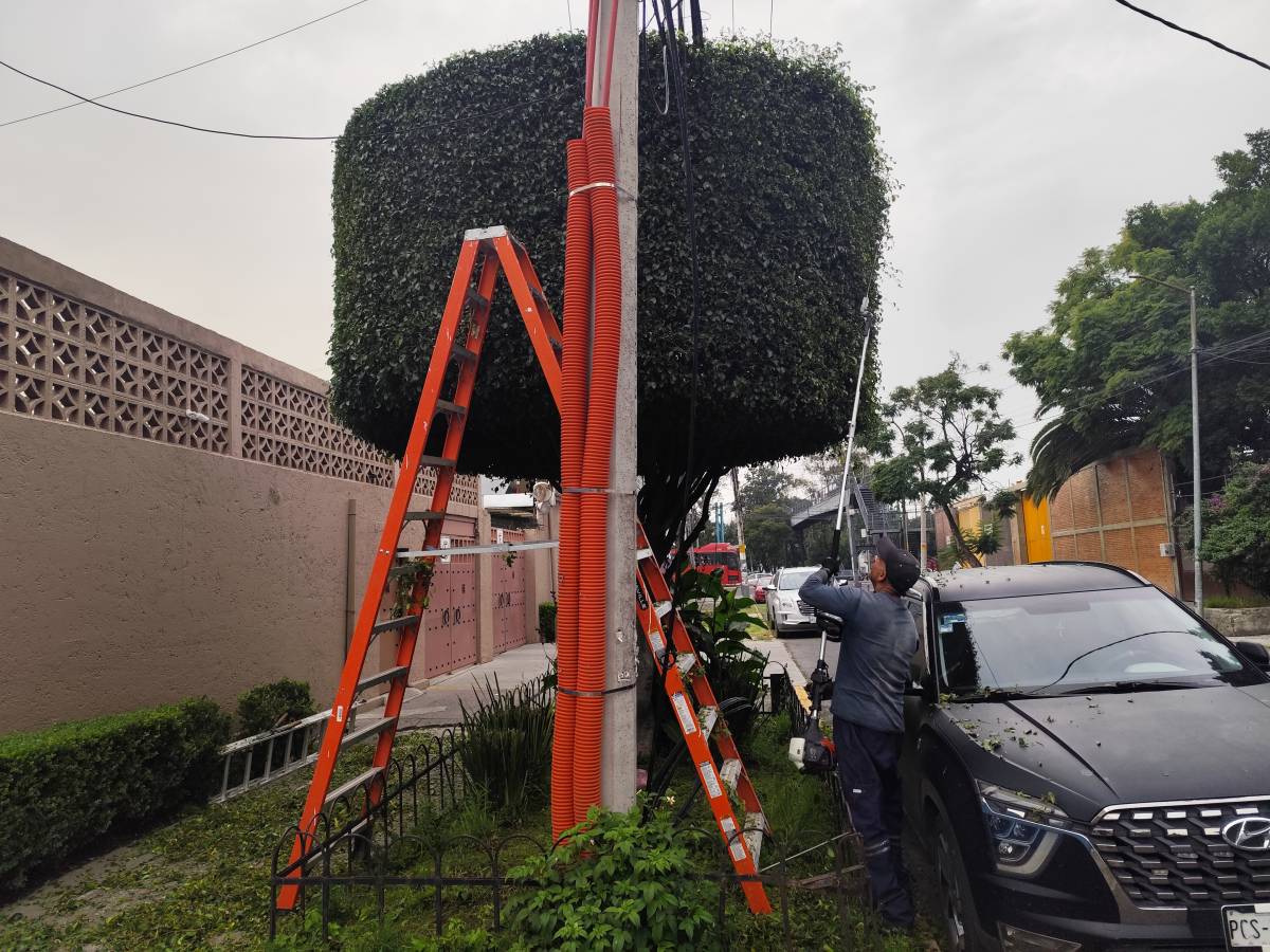 Servicios Integrales ADP - Gustavo A. Madero - Drip Irrigation System Maintenance