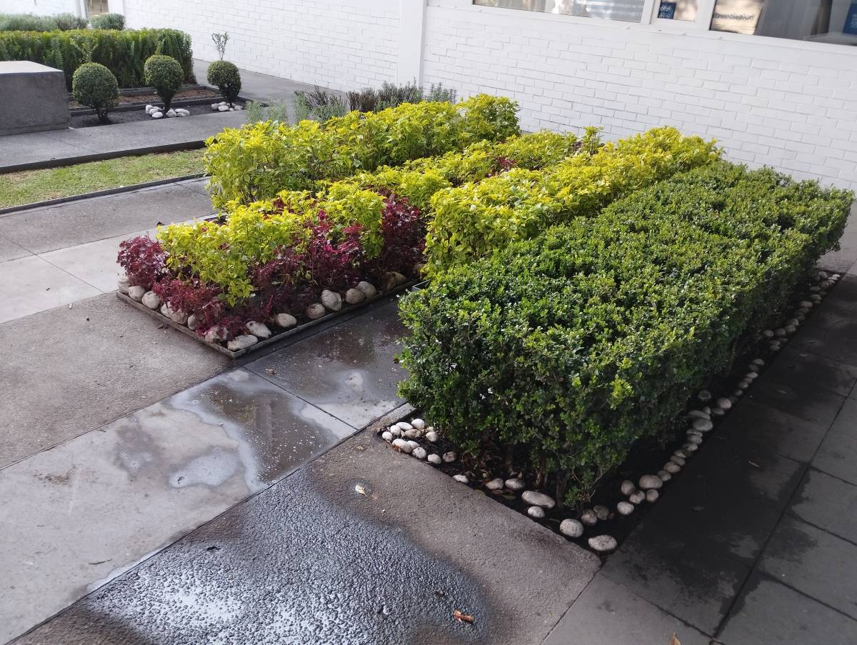 Servicios Integrales ADP - Gustavo A. Madero - Tree Trimming and Maintenance