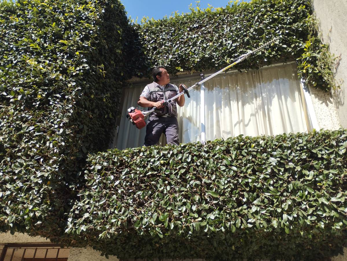 Servicios Integrales ADP - Gustavo A. Madero - Pest Control Services