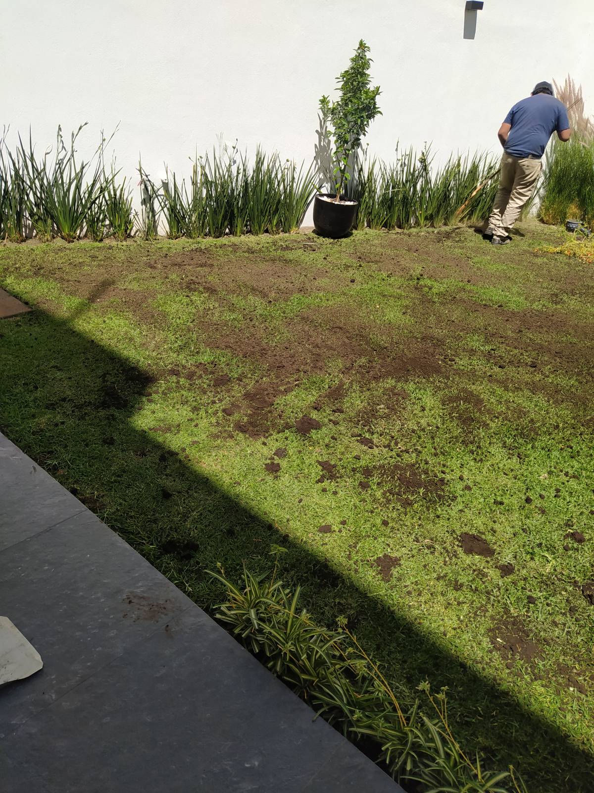 Servicios Integrales ADP - Gustavo A. Madero - Multi Service Lawn Care