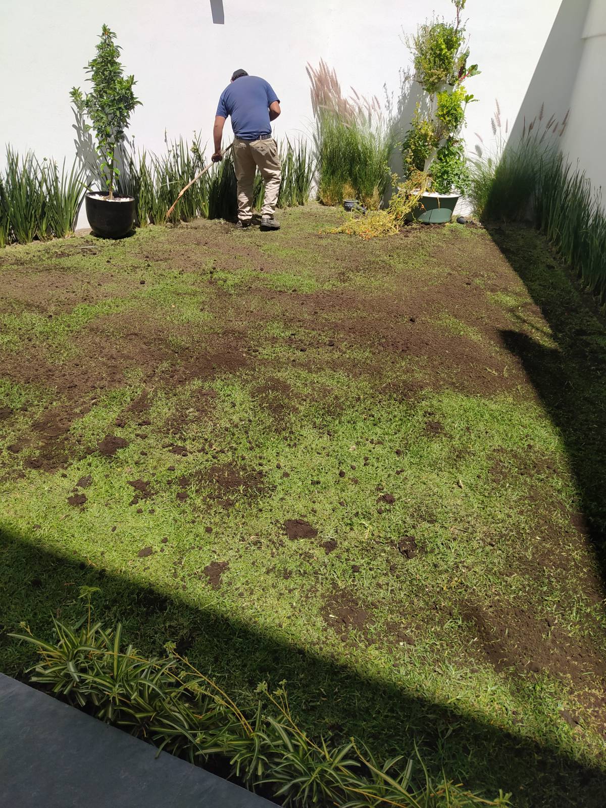 Servicios Integrales ADP - Gustavo A. Madero - Artificial Turf Installation