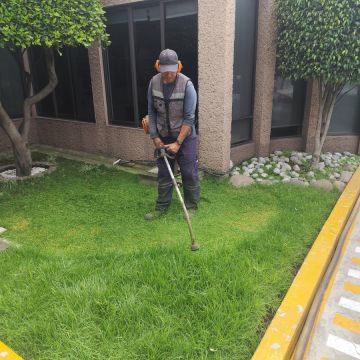Servicios Integrales ADP - Gustavo A. Madero - Outdoor Landscaping