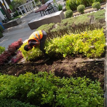 Servicios Integrales ADP - Gustavo A. Madero - Greenhouse Services