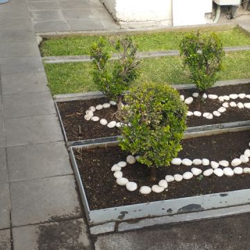 Servicios Integrales ADP - Gustavo A. Madero - Sprinkler System Installation