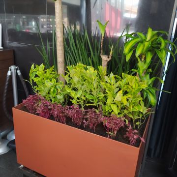 Servicios Integrales ADP - Gustavo A. Madero - Aeration