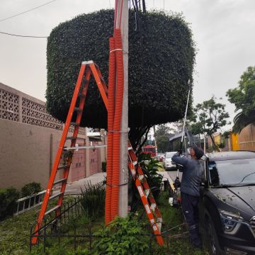 Servicios Integrales ADP - Gustavo A. Madero - Drip Irrigation System Maintenance