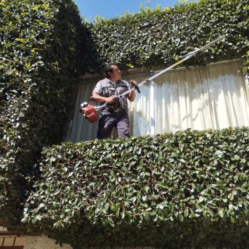 Servicios Integrales ADP - Gustavo A. Madero - Pest Control Services