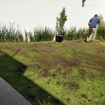 Servicios Integrales ADP - Gustavo A. Madero - Multi Service Lawn Care