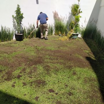 Servicios Integrales ADP - Gustavo A. Madero - Artificial Turf Installation