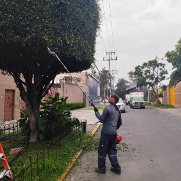 Servicios Integrales ADP - Gustavo A. Madero - Lawn Mowing and Trimming