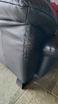 Furniture Repair Professional
