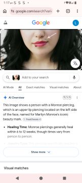Piercing Artist