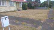 Lawn Mowing Professional