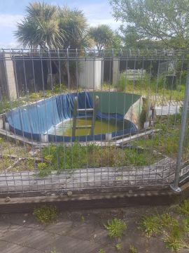 Pool Repair