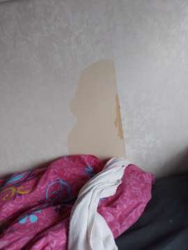 Wallpaper Repair Professional