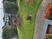 Stump Grinder