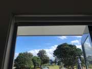 Blinds Repair