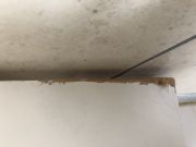 Painting - Home Improvements