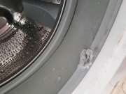 Washing Machine Repair or Maintenance
