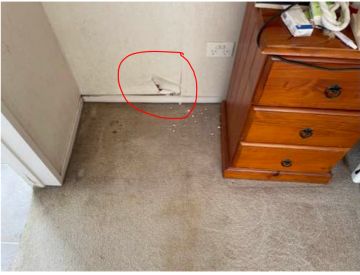 Wallpaper Repair Professional