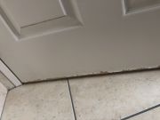 Door Painter