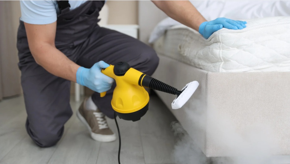 Bailey Jamieson - Christchurch - Vacuum Cleaner Repair