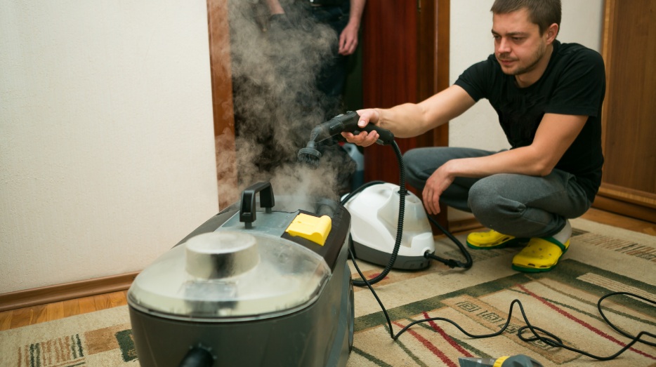 Bailey Jamieson - Christchurch - Lawn Mower Repair
