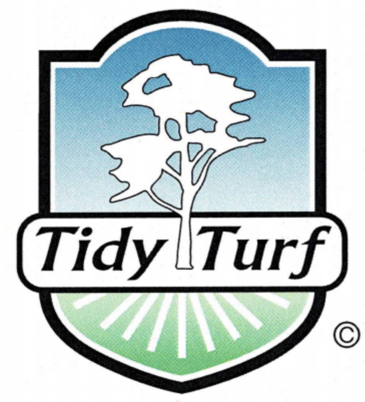 Tidy Turf - Horowhenua - Seeding